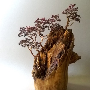 Este a hegyen... - otthon & életmód - dekoráció - asztal és polc dekoráció - bonsai - Meska.hu