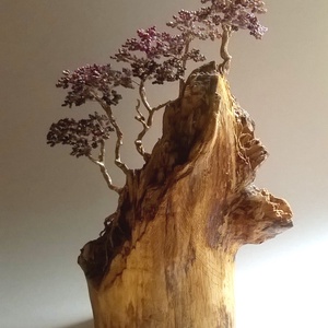 Este a hegyen... - otthon & életmód - dekoráció - asztal és polc dekoráció - bonsai - Meska.hu