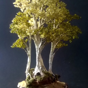 Sarjadás, Otthon & Életmód, Dekoráció, Asztal és polc dekoráció, Bonsai, , MESKA