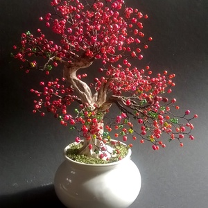 Japánbirs bonsai, Otthon & Lakás, Dekoráció, Asztal és polc dekoráció, Bonsai, Mindenmás, Meska