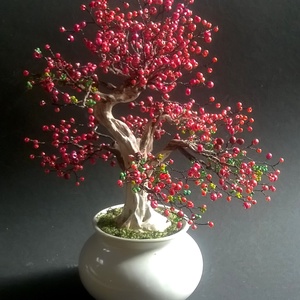 Japánbirs bonsai - otthon & életmód - dekoráció - asztal és polc dekoráció - bonsai - Meska.hu