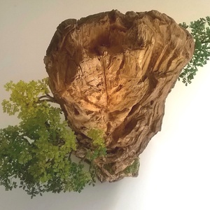 Egyensúly - otthon & életmód - dekoráció - asztal és polc dekoráció - bonsai - Meska.hu