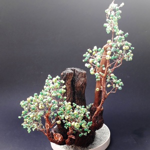 Gyökerek - otthon & életmód - dekoráció - asztal és polc dekoráció - bonsai - Meska.hu