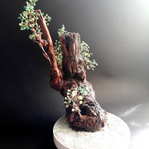 Gyökerek, Otthon & Életmód, Dekoráció, Asztal és polc dekoráció, Bonsai, Mindenmás, MESKA