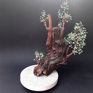 Gyökerek - otthon & életmód - dekoráció - asztal és polc dekoráció - bonsai - Meska.hu