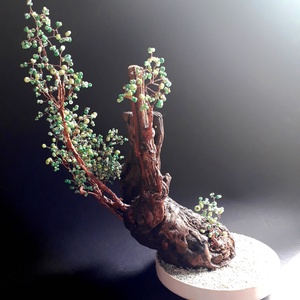 Gyökerek - otthon & életmód - dekoráció - asztal és polc dekoráció - bonsai - Meska.hu