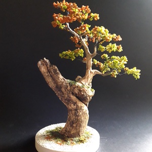 Ősz - otthon & életmód - dekoráció - asztal és polc dekoráció - bonsai - Meska.hu Ősz - otthon & életmód - dekoráció - asztal és polc dekoráció - bonsai - Meska.hu