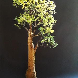 Sudár - otthon & életmód - dekoráció - asztal és polc dekoráció - bonsai - Meska.hu