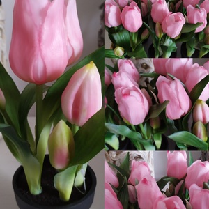 Beszerzési áron ! Tulipán cserépben 1db., Otthon & Életmód, Dekoráció, Asztal és polc dekoráció, Asztaldísz, Virágkötés, MESKA