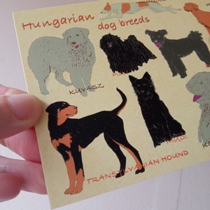 Magyar kutyafajták - képeslap - művészet - grafika & illusztráció - digitális - Meska.hu