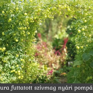 Tündérkert szívmag, DIY (Csináld magad), Egységcsomag, Papírművészet, MESKA