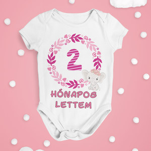 Hónapos mérföldkő body kisbabáknak, bébi rugdalózó egyedi hónapszámmal - játék & sport - baba & babaház - játékbaba, babakellék - Meska.hu