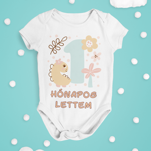 Hónapos mérföldkő body kisbabáknak, bébi rugdalózó egyedi hónapszámmal, Játék & Sport, Baba & babaház, Játékbaba, babakellék, , MESKA