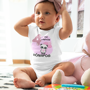 Panda macis Hónapos mérföldkő body kisbabáknak, bébi rugdalózó egyedi hónapszámmal - játék & sport - baba & babaház - játékbaba, babakellék - Meska.hu