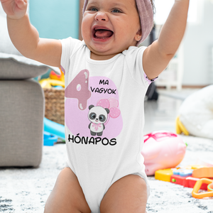 Panda macis Hónapos mérföldkő body kisbabáknak, bébi rugdalózó egyedi hónapszámmal, Játék & Sport, Baba & babaház, Játékbaba, babakellék, , MESKA