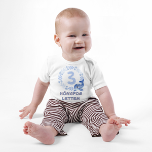 Kék bálna Hónapos mérföldkő body kisbabáknak, bébi rugdalózó egyedi hónapszámmal - játék & sport - baba & babaház - játékbaba, babakellék - Meska.hu