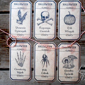 Halloween ajándék kártya, Halooween dekor, Kísérőkártya, Halloween ajándék, denevér, boszorka, pók, Vintage - otthon & életmód - dekoráció - halloween - halloweeni meghívó, képeslap, ajándékkísérő - Meska.hu