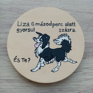 Kutya harap tábla, kutyatábla, vicces kutya tábla, névtábla - Bodri gyorsul - otthon & életmód - kisállatoknak - kutyáknak - kutya biléta - Meska.hu