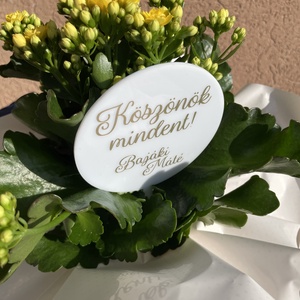 Plexi beszúrható táblácska  Köszönök mindent! felirattal, Otthon & Életmód, Dekoráció, Virágdísz és tartó, Csokor & Virágdísz, , MESKA