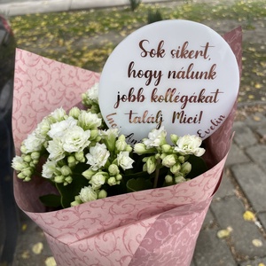 Plexi beszúrható táblácska  Sok sikert, hogy nálunk jobb kollégákat találj! felirattal, Otthon & Életmód, Dekoráció, Virágdísz és tartó, Csokor & Virágdísz, , MESKA