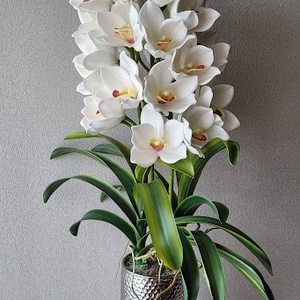 3 szálas cymbidium beültetés ezüst vázában, Otthon & Életmód, Dekoráció, Asztal és polc dekoráció, Asztaldísz, Virágkötés, MESKA