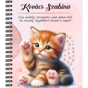 Személyre szabható - Cuki tapis vörös cicus mintás A6-os füzet, Otthon & Életmód, Papír, írószer, Jegyzetfüzet & Napló, , MESKA