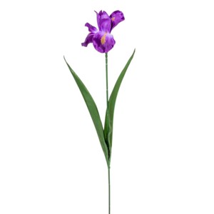 Szálas Írisz, Kellékek & szerszámok, Dekorációs kellékek, Virágfej, , MESKA