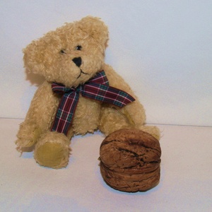 Gender reveal- Egy kis dió, benne egy nagy csoda - baba - mama - babaemlékek - bababejelentők - Meska.hu