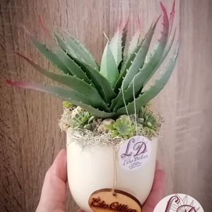 Dísz aloevera kaspóban, Otthon & Életmód, Dekoráció, Asztal és polc dekoráció, Asztaldísz, Virágkötés, Festett tárgyak, MESKA
