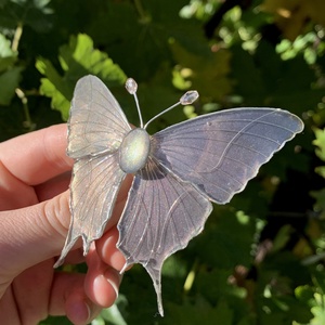 Szürke pillangós epoxy hajcsat - ruha & divat - hajdísz & hajcsat - hajdísz - Meska.hu