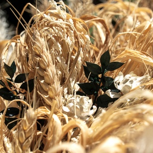 Aurelia Pampas Crown - esküvő - dekoráció - helyszíni dekor - Meska.hu