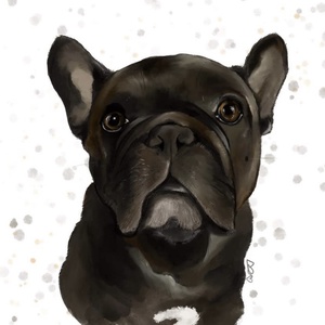 Digitális Kutyaportré, Művészet, Grafika & Illusztráció, Digitális, Fotó, grafika, rajz, illusztráció, MESKA