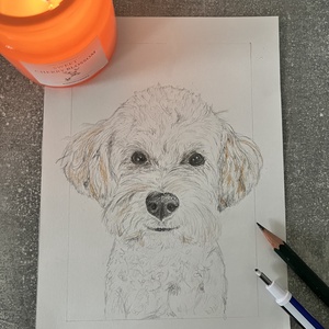 Grafit kutya portré - művészet - grafika & illusztráció - ceruzarajz - Meska.hu