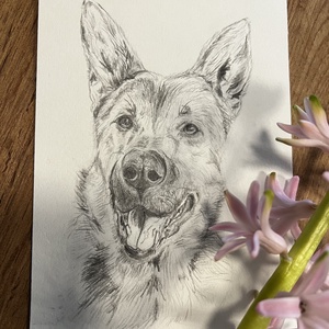 Grafit kutya portré - művészet - grafika & illusztráció - ceruzarajz - Meska.hu