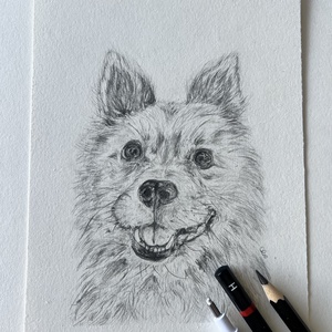 Grafit kutya portré - művészet - grafika & illusztráció - ceruzarajz - Meska.hu