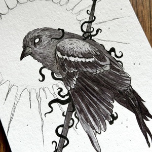 Eredeti, kézzel készült illusztráció - 2025 inktober - Madár - művészet - grafika & illusztráció - tus - Meska.hu