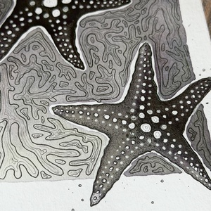 Eredeti, kézzel készült illusztráció - 2025 inktober - Tengeri csillag - művészet - grafika & illusztráció - tus - Meska.hu