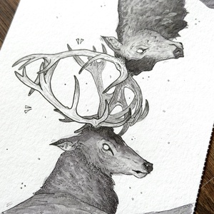 Eredeti, kézzel készült illusztráció - 2025 inktober - Rivális ( szarvasok) - művészet - grafika & illusztráció - tus - Meska.hu