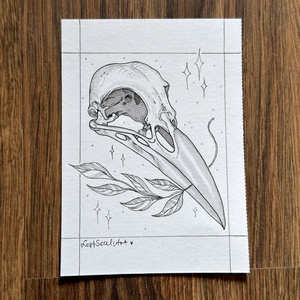 Eredeti, kézzel készült illusztráció - 2025 inktober - Holló koponya - művészet - grafika & illusztráció - tus - Meska.hu