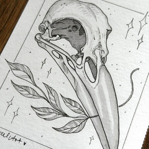 Eredeti, kézzel készült illusztráció - 2025 inktober - Holló koponya - művészet - grafika & illusztráció - tus - Meska.hu