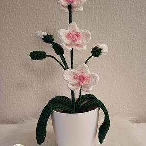 Horgolt orchidea , Otthon & Életmód, Virágdekoráció, Virágdíszek, Virágdísz kaspóban, Horgolás, Örök Orchidea – Kézzel horgolt, egyedi virágdekoráció kaspóban

Szeretnél egy olyan virágot, amely ..., MESKA