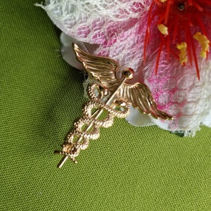 Kitűző, Bross BRO260 - Caduceus avagy Hermész botja, Ékszer, Kitűző és Bross, Kitűző, Ékszerkészítés, MESKA