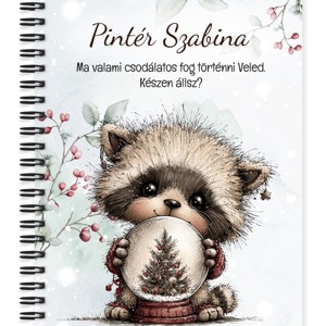 Személyre szabható - Cuki téli mosómaci hógömbbel mintás A5-ös füzet, Otthon & Életmód, Papír, írószer, Jegyzetfüzet & Napló, , MESKA