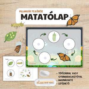 A pillangók fejlődése - matatólap (nyomtatható pdf), Játék & Sport, Készségfejlesztő és Logikai játék, Oktató játékok, Fotó, grafika, rajz, illusztráció, MESKA