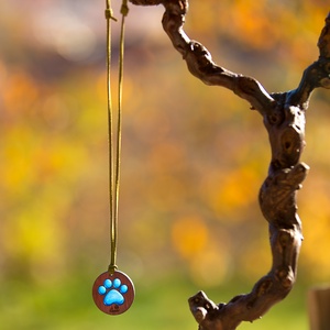 Olajfa Lélek � kézzel készült resin nyaklánc hajó vagy tappancs motívummal - Luigiwood - ékszer - nyaklánc - medál - Meska.hu