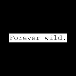 Felvasalható felirat - Forever wild, Ruha & Divat, Női ruha, Póló, felső, Mindenmás, MESKA
