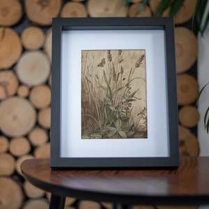Nyári mezei növények - digitális festményről készült nyomat - művészet - grafika & illusztráció - művészi nyomat - Meska.hu