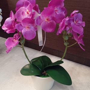 Gondozás mentes selyem orchidea  - Meska.hu