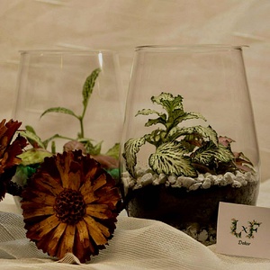 Kis méretű letisztult florárium - otthon & életmód - dekoráció - asztal és polc dekoráció - florárium, terrárium - Meska.hu
