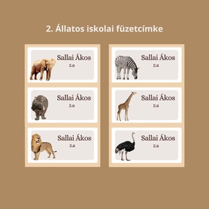 Iskolai füzetcímke, egyedi névre szóló  - otthon & életmód - papír, írószer - matrica, matrica csomag - Meska.hu